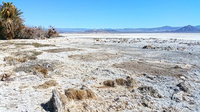 2016-02 Zzyzx-Road-and-Mineral-Springs (32) JKJK :\Ã�Ã»  V Ã·   IÃž    ÂŒj            w  w  ÂœÃš    5Â“ ÂƒÃŠ e#Ã¿Ã¿  SÂ´Ã¿Ã¿
 ÂžÃ†Ã¿Ã¿Â›Ã¾Ã¿Ã¿Ã»Ã·Ã¾Ã¿j...