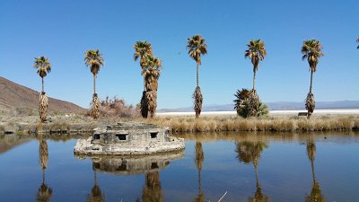 2016-02 Zzyzx-Road-and-Mineral-Springs (6) JKJK :\Ã�Ã»  V Ãœ   IÃž    ÂŒj      Â°        Ã�  \Ã¥    lÂ‚ ÂƒÃŠ e#Ã¿Ã¿  SÂ´Ã¿Ã¿
 ÂžÃ†Ã¿Ã¿Â›Ã¾Ã¿Ã¿Ã»Ã·Ã¾Ã¿j...