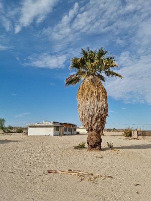 2022-07-17 Lenwood - The Dunes (16)