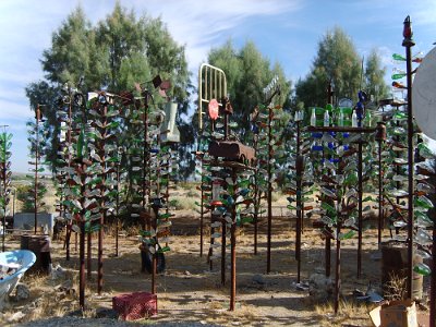 2011-08 Bottle Tree Forest (24)