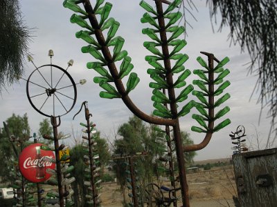 2009-05 Bottle Tree Forest (10)