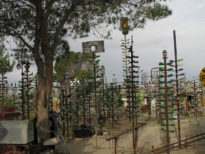 2009-05 Bottle Tree Forest (12)