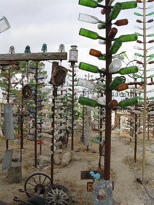 2009-05 Bottle Tree Forest (14)