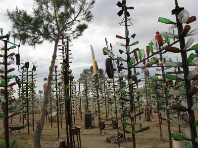 2009-05 Bottle Tree Forest (15)