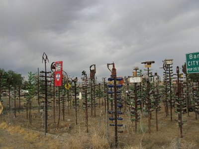 2009-05 Bottle Tree Forest (16)