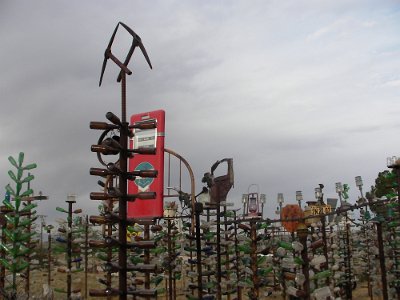 2009-05 Bottle Tree Forest (17)