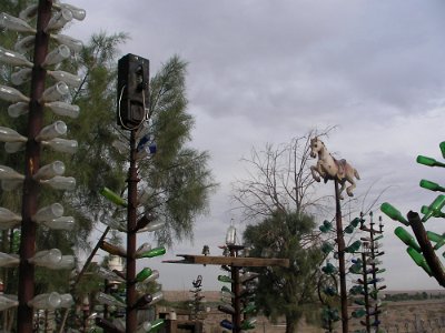 2009-05 Bottle Tree Forest (19)