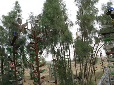 2009-05 Bottle Tree Forest (5)