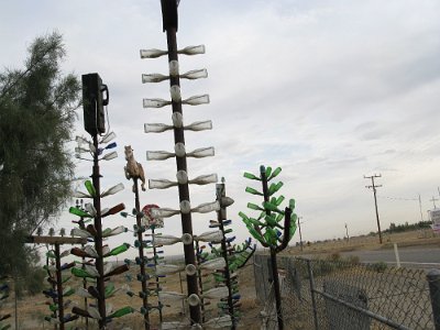 2009-05 Bottle Tree Forest (6)