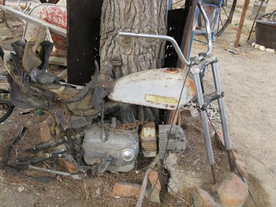 2009-05 Bottle Tree Forest (7)