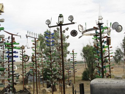 2009-05 Bottle Tree Forest (8)