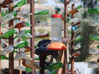 2011-08 Bottle Tree Forest (1)