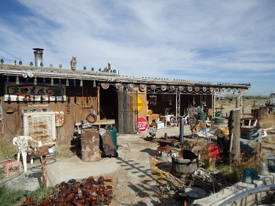 2011-08 Bottle Tree Forest (12)