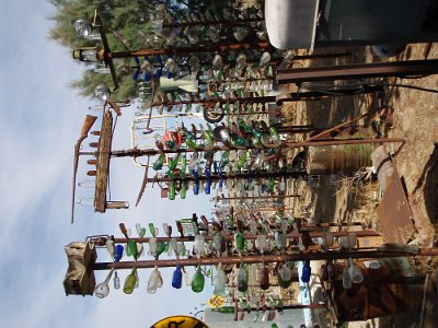 2011-08 Bottle Tree Forest (16)