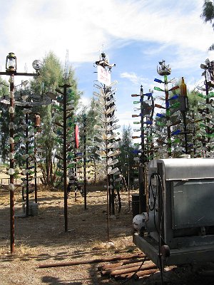 2011-08 Bottle Tree Forest (28)