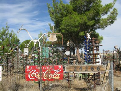 2011-08 Bottle Tree Forest (3)