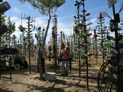 2011-08 Bottle Tree Forest (35)