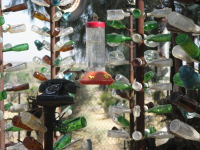 2011-08 Bottle Tree Forest (36)