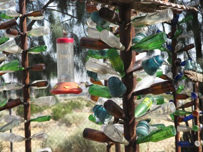 2011-08 Bottle Tree Forest (37)