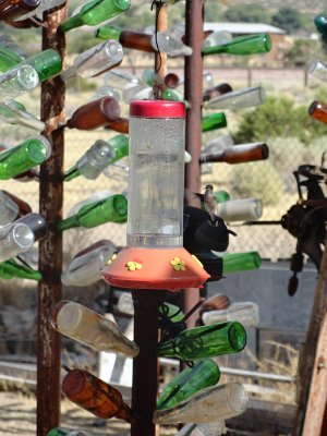 2011-08 Bottle Tree Forest (45)