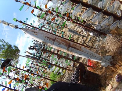 2011-08 Bottle Tree Forest (69)