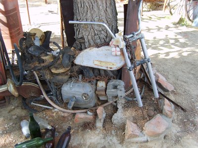 2011-08 Bottle Tree Forest (70)