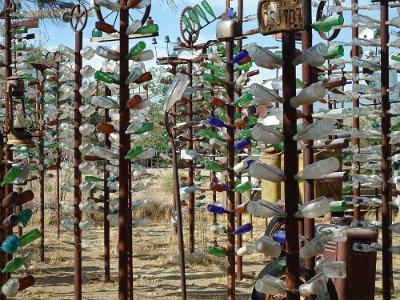 2011-08 Bottle Tree Forest (8)